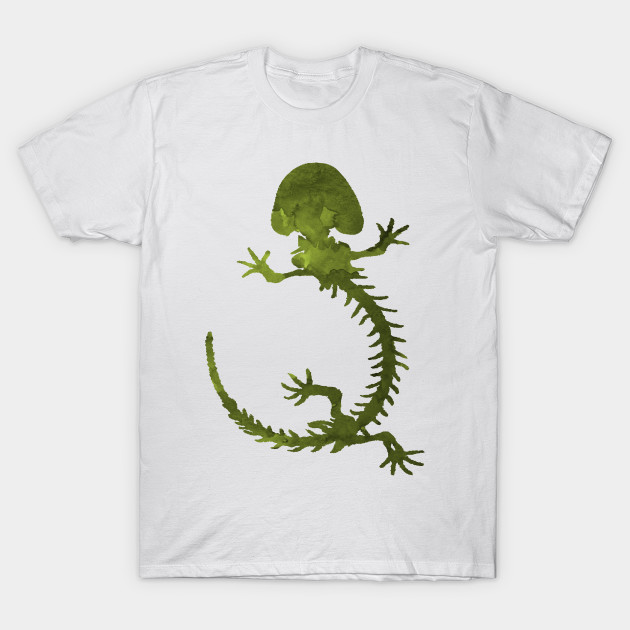 Hellbender Skeleton